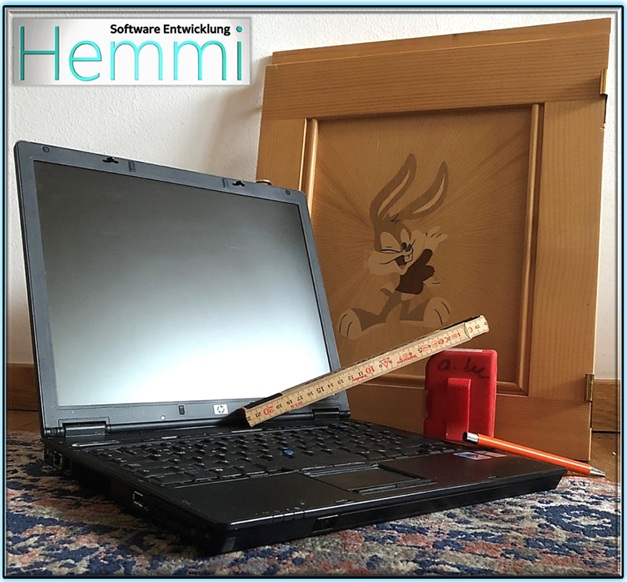 Logo Werdegang Hemmi Software Entwicklung